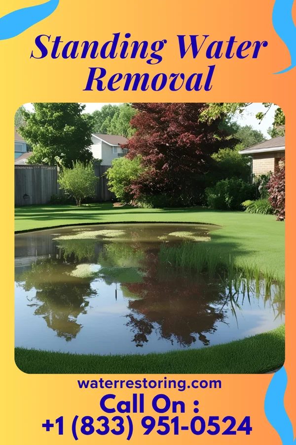 Standing Water Removal in Olla, LA